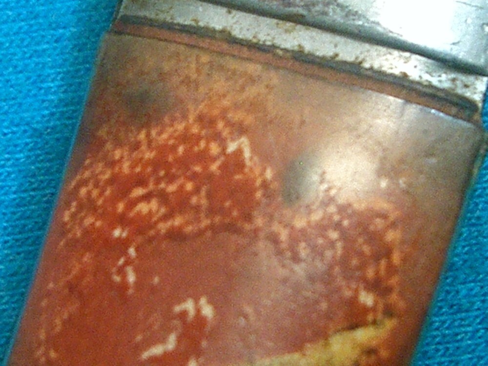 VINTAGE FANCY HANDLE HAMMER BRAND NAKED NUDE RISQUE FOLDING POCKET TOOTHPICK FISH KNIFE KNIVES OLD