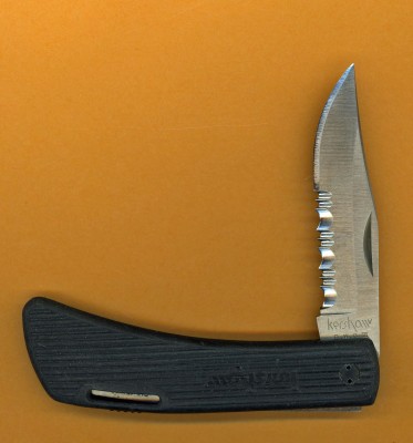 Kershaw DWO III.jpg