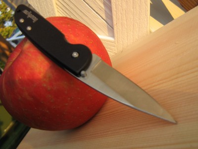 Kershaw LFK 1700 pocket knife 002.JPG