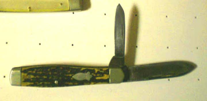 RobesonSwellCenterStagJack.jpg