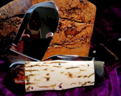 Mammoth Tooth Bark1.JPG