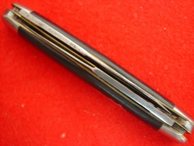 Robeson Surveyor 4.jpg