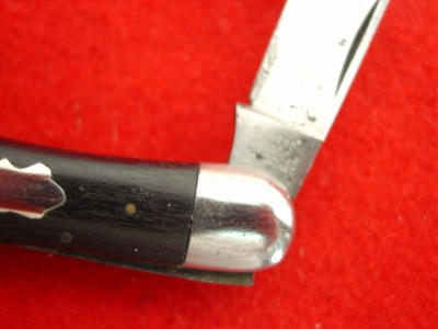 Robeson Surveyor 6.jpg