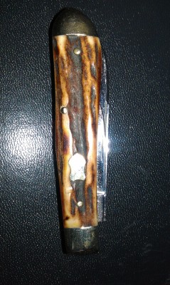 IMAG0159.jpg