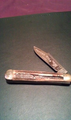 IMAG0233.jpg