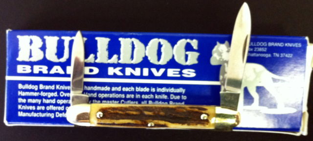 bulldog stag.JPG