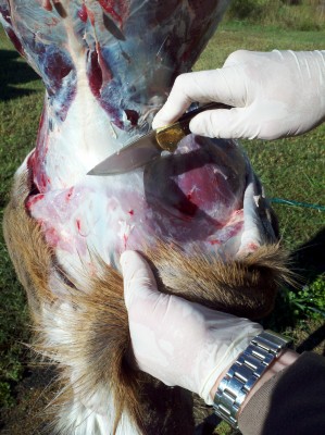 2012-10-16_09-47-37_966.jpg
