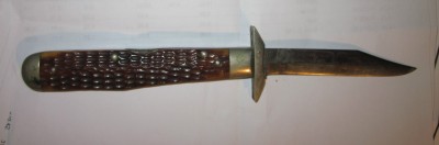 Green bone Cheetah 3.jpg