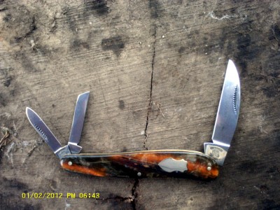 IMAG0070.JPG