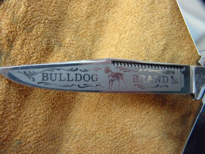 Bull Dog III.jpg