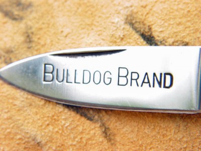 Bull Dog II.jpg