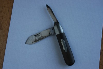 robesonbeaver1.jpg