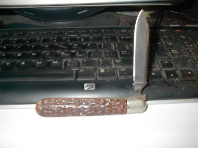 IM000460.JPG