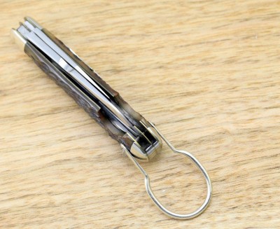 RobElectric5.jpg