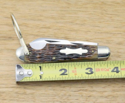 RobElectric8.jpg