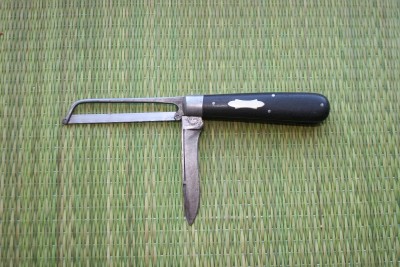 catsaw1.jpg