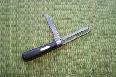 catsaw2.jpg