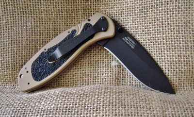 Kershaw Blur - 1670DSBLK - Half-Open Pile.JPG