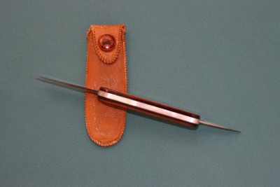 catcoveredbackopalnopins2.jpg