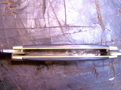 100_9819.JPG
