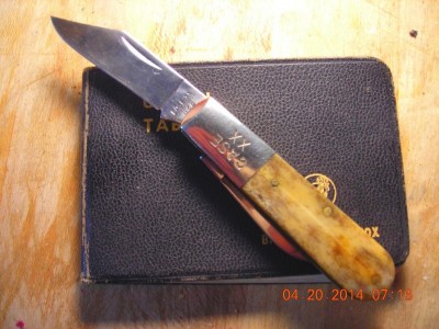 Case Barlow Appaloosa bone.jpg