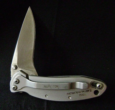 Kershaw Chive 1600 - Pile.JPG