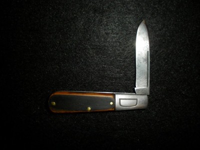 SANY0005-002.JPG