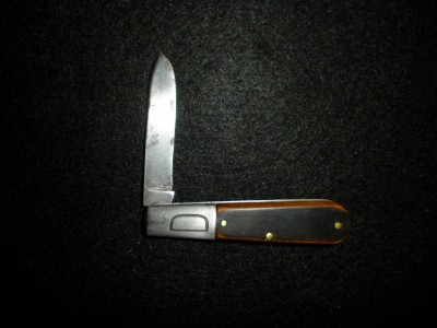 SANY0013.JPG