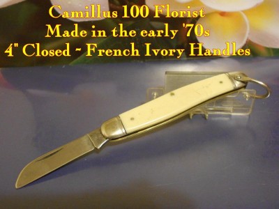 Camillus 100 Florist.jpg