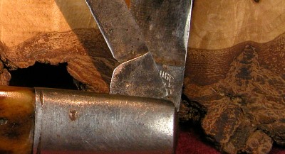 DSCN6464A tangs.jpg
