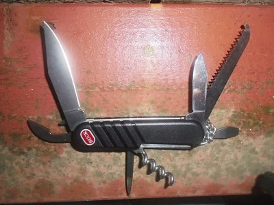 SwiisBuck20Trekker20003_zpszpcpnciq.jpg