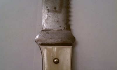 IMAG1458.jpg