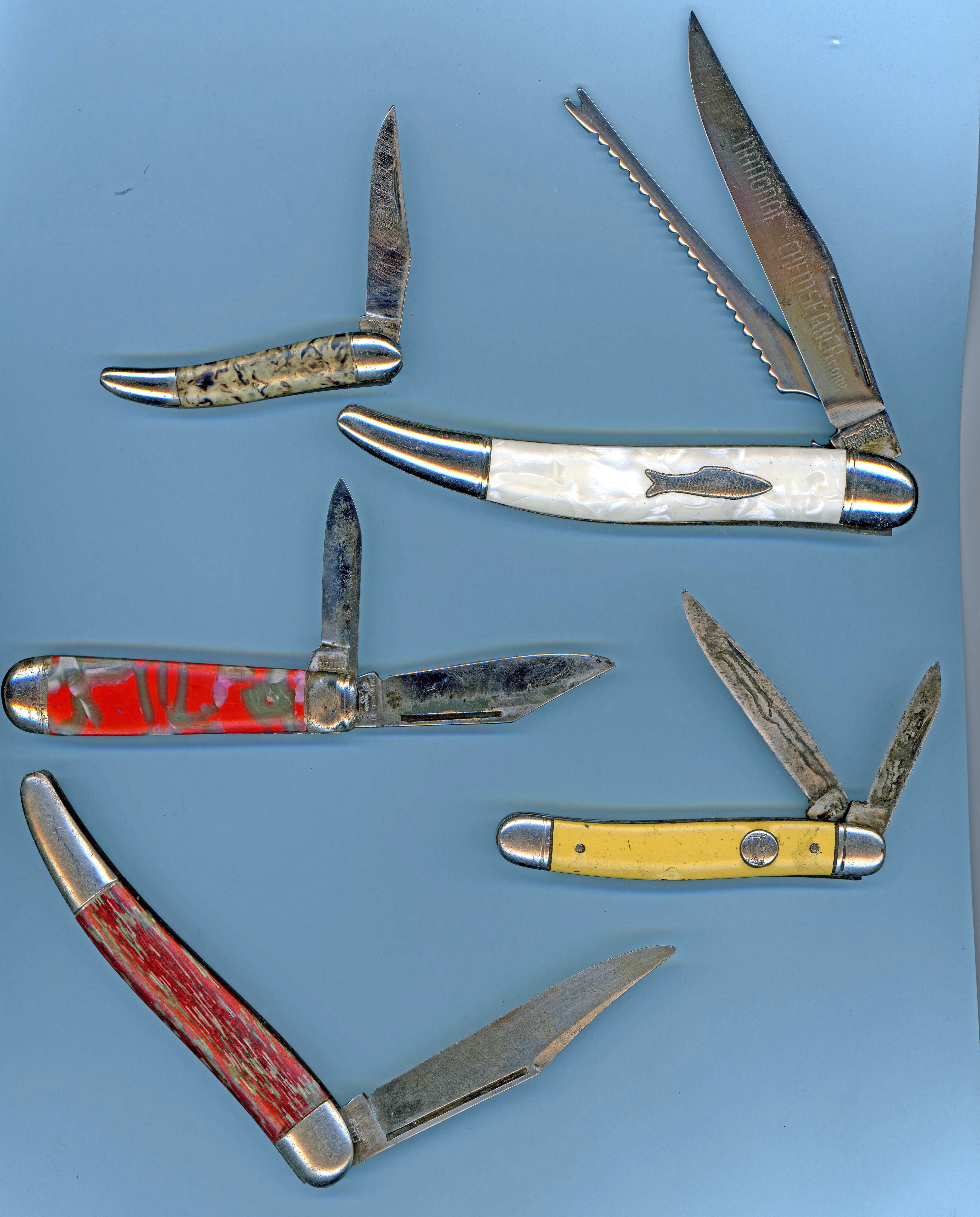 Shell handles.jpg