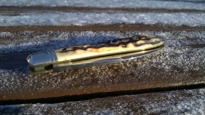 WP_20170213_009.jpg