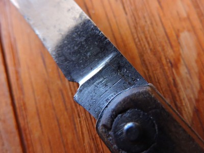 DSCN5532.JPG