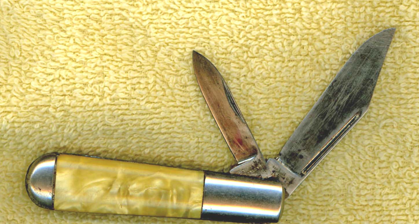 Hammer Cell Shell Barlow.jpg