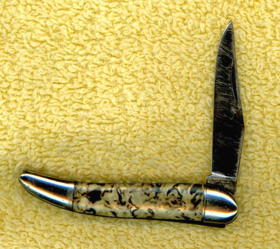 Hammer shell mini toothpick.jpg