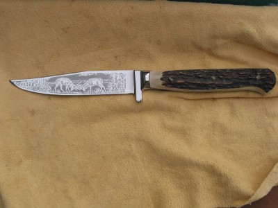 117-1748_IMG.JPG