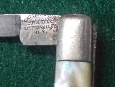 Cattaraugus 22820 c.jpg