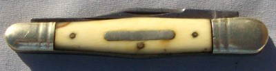 bradshaw1.JPG
