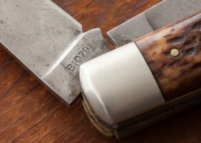 trapper_MG_0472.jpg