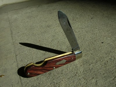 AAPK Auction (4).JPG