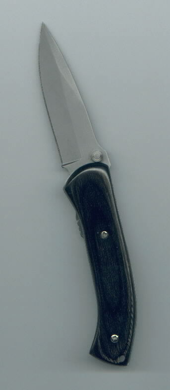 Copy of G-Factor 1.jpg