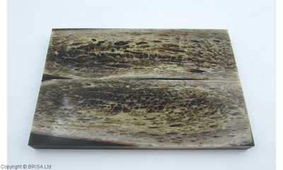 kudu bone.jpg