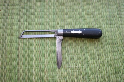 catsaw1.jpg