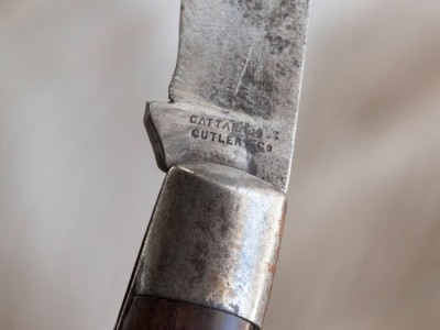 hawkbill_MG_0323.jpg