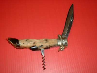 DSF0005.JPG