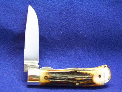 #73 Stag 2.jpg