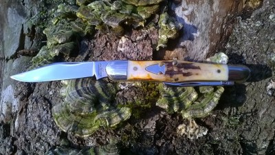 WP_20161017_011.jpg