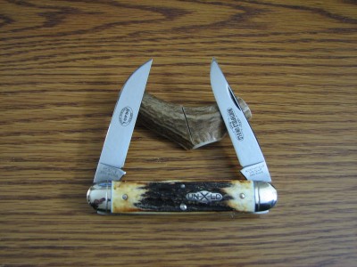 rat 009.JPG